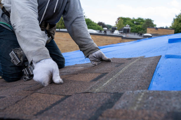 Gutter Installation and Roofing in Cottondale, AL